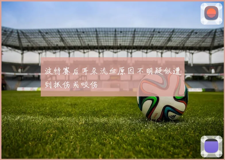 波特赛后耳朵流血原因不明疑似遭到抓伤或咬伤
